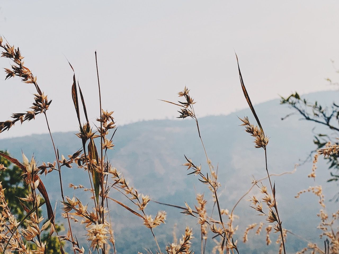 View from top of Sinhagad