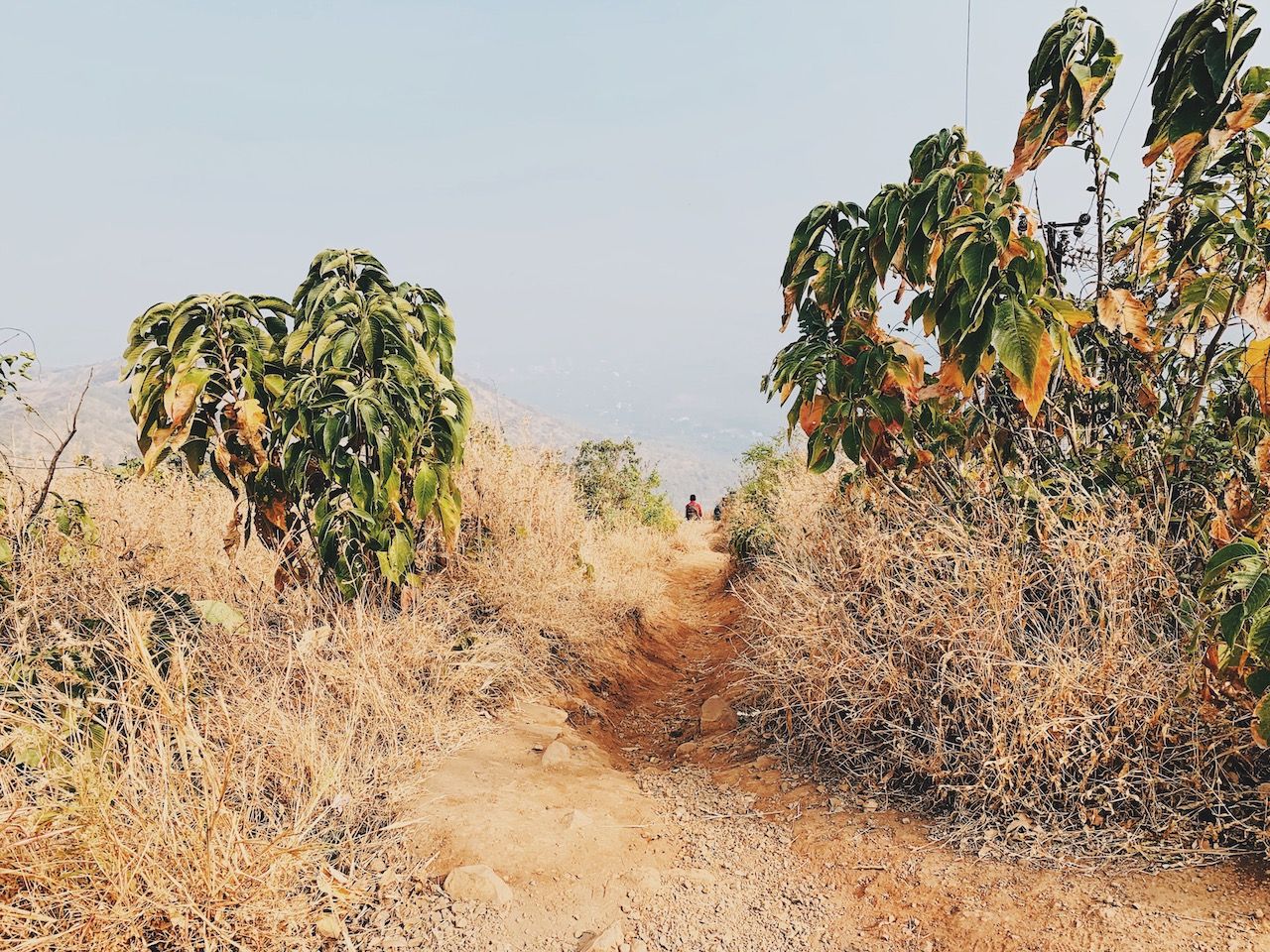 View from top of Sinhagad