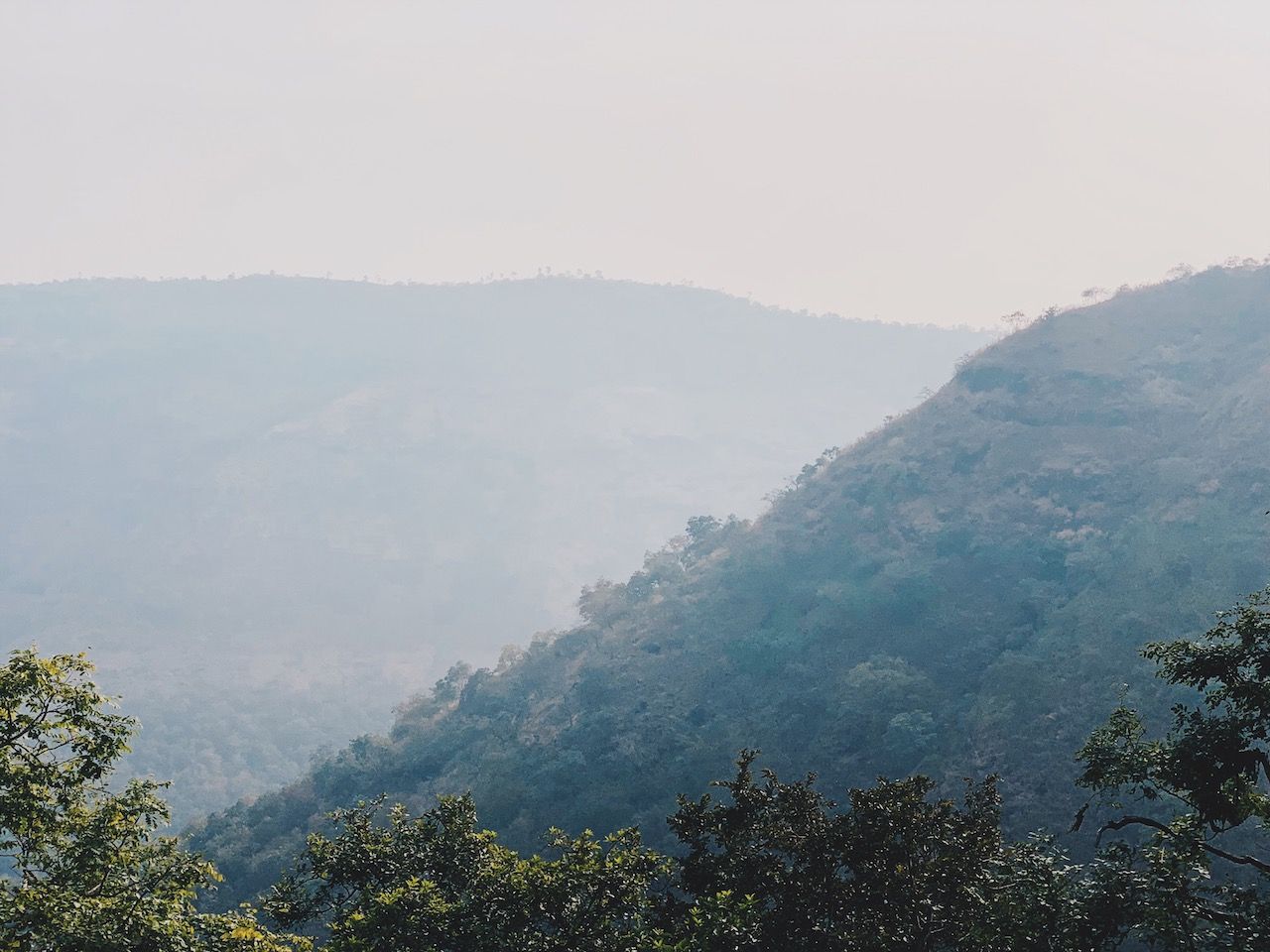 View from top of Sinhagad