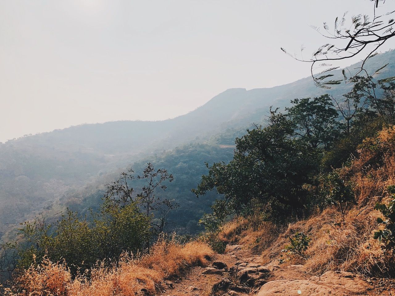 View from top of Sinhagad